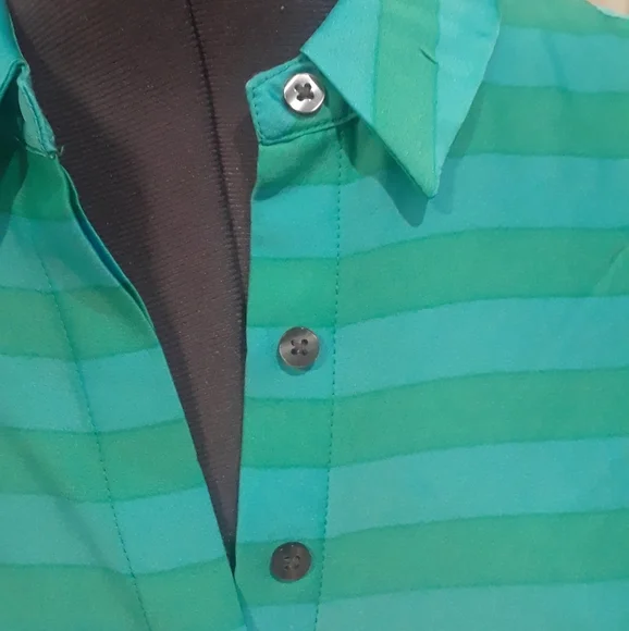 Ann Taylor Green & Blue Striped Shirt - Picture 4 of 9